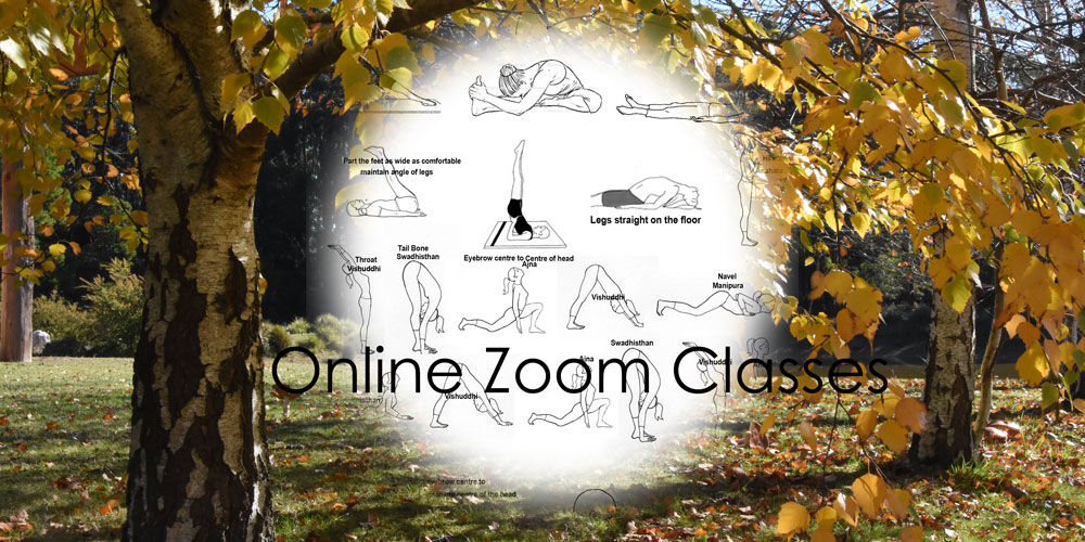 Online Zoom Classes