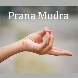 5 night Intensive Prana, Pranayama & Koshas