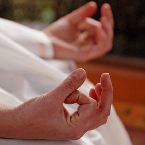 Silent Meditation Retreat with Sw. Anandakumar