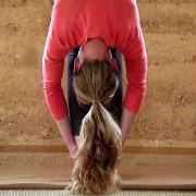 Padahastasana (forward bend)