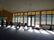 Yoga Retreat Ashram